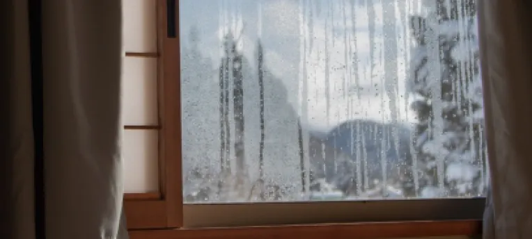 部屋の外で雨が降っている写真